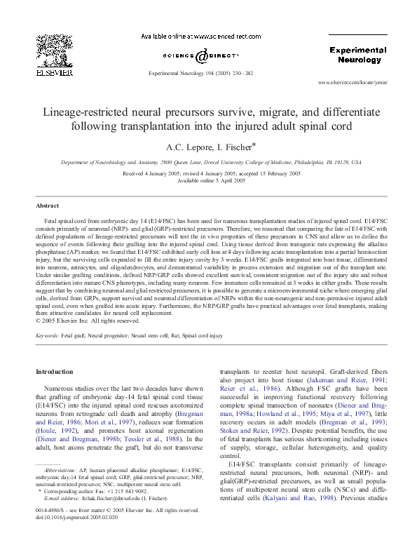 (PDF) Lineage-restricted neural precursors survive, migrate, and ...
