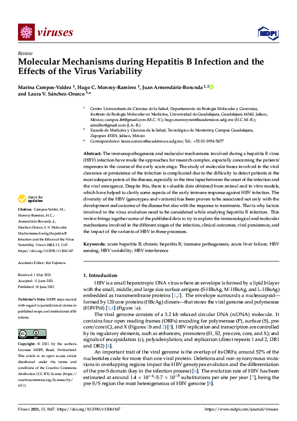 (PDF) Molecular Mechanisms during Hepatitis B Infection and the Effects ...