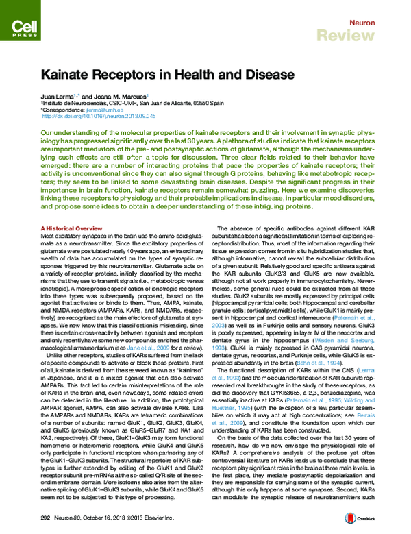 (PDF) Kainate Receptors in Health and Disease
