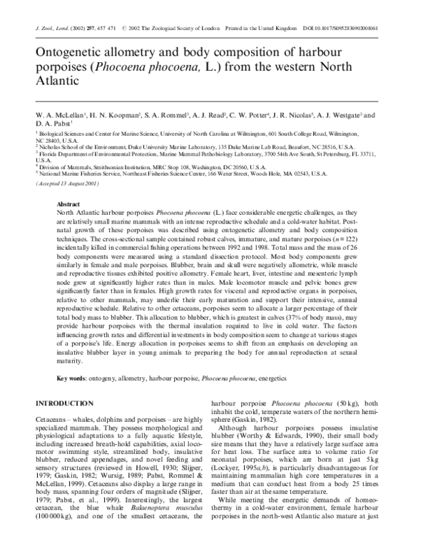 (PDF) Ontogenetic allometry and body composition of harbour porpoises ...