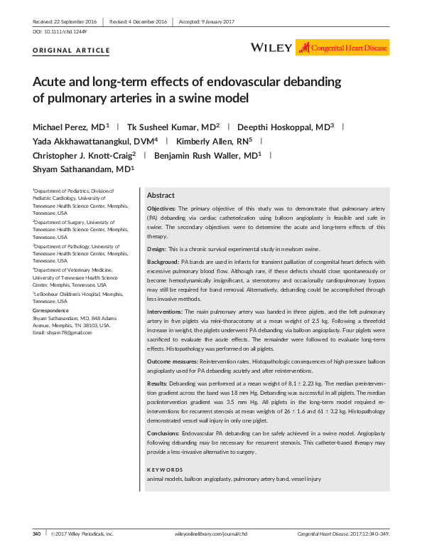 (PDF) Acute and long-term effects of endovascular debanding of ...