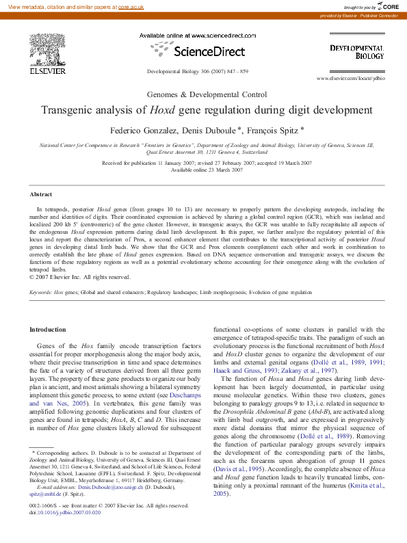 (PDF) Transgenic analysis of Hoxd gene regulation during digit development