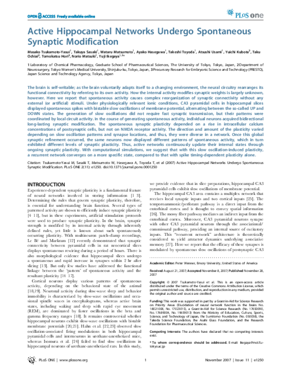 Active Hippocampal Networks Undergo Spontaneous Synaptic Modification
