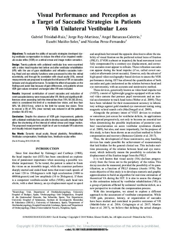 (PDF) Visual Performance and Perception as a Target of Saccadic ...