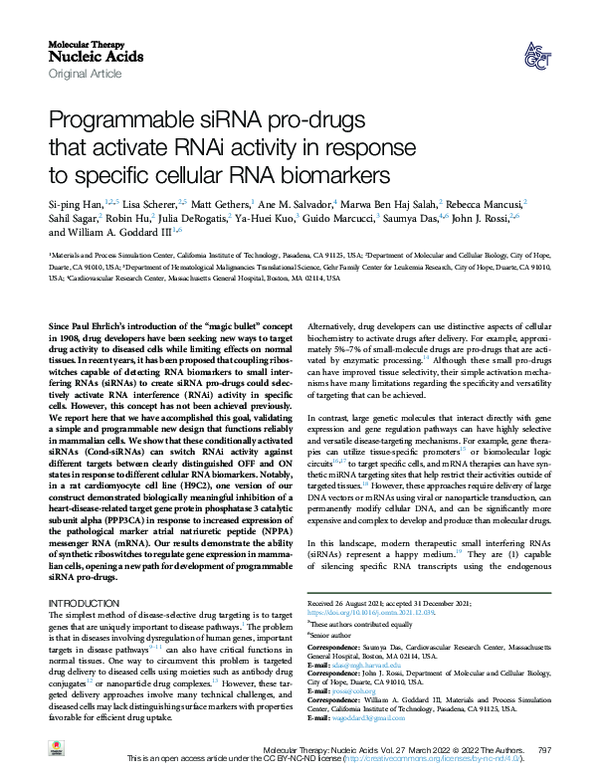 (PDF) Programmable siRNA pro-drugs that activate RNAi activity in ...