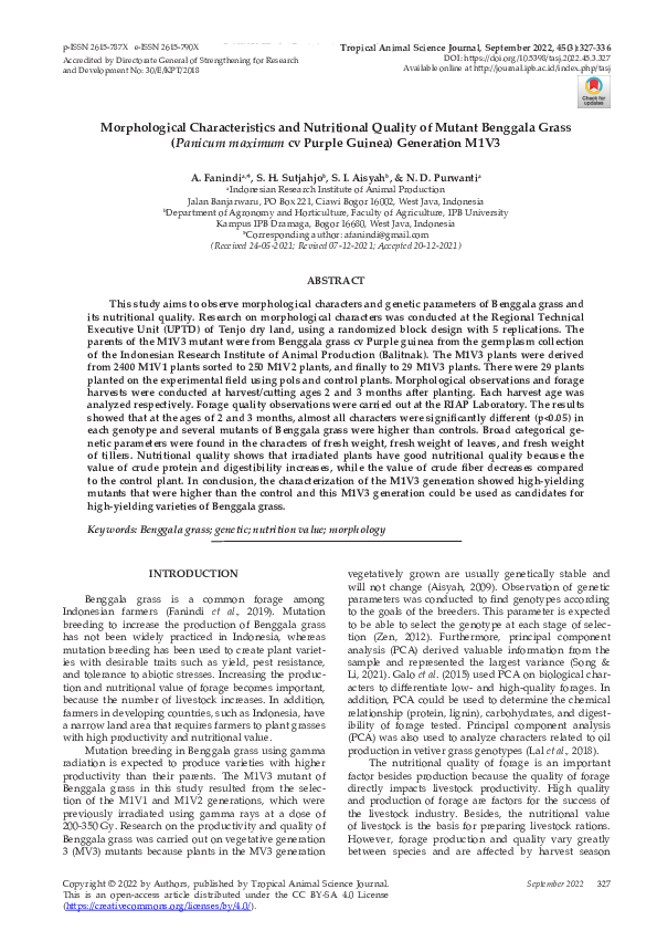 (PDF) Morphological Characteristics and Nutritional Quality of Mutant ...