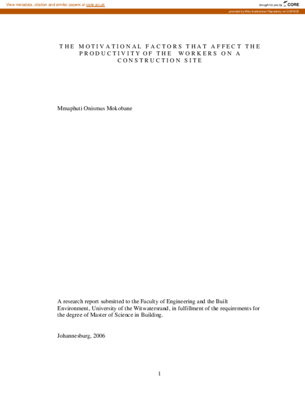 (PDF) The motivational factors that affect the productivity of the ...