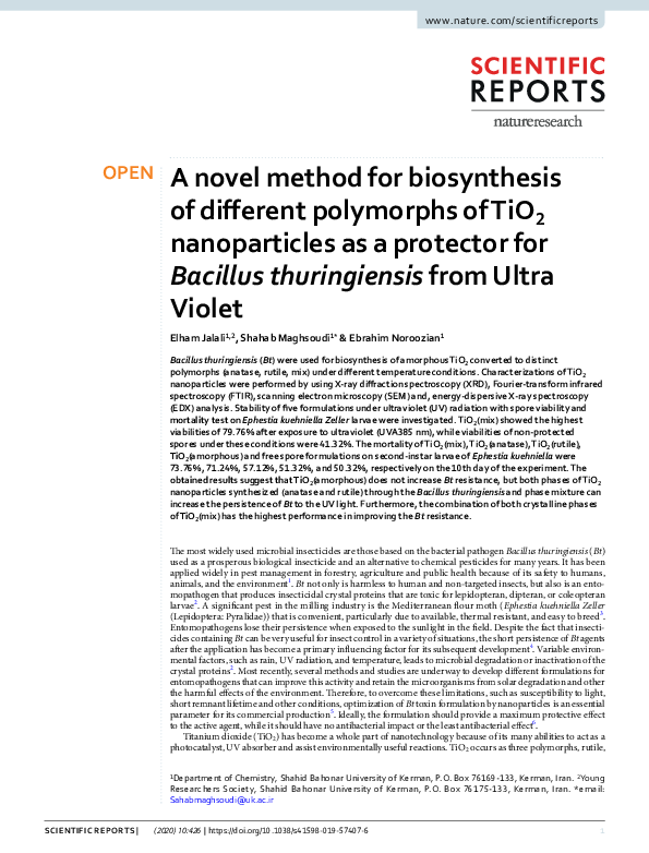 (PDF) A novel method for biosynthesis of different polymorphs of TiO2 ...