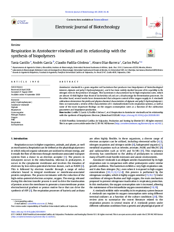 (PDF) Respiration in Azotobacter vinelandii and its relationship with ...