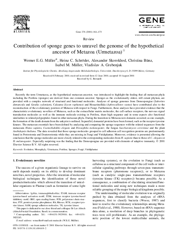 (PDF) Contribution of sponge genes to unravel the genome of the ...
