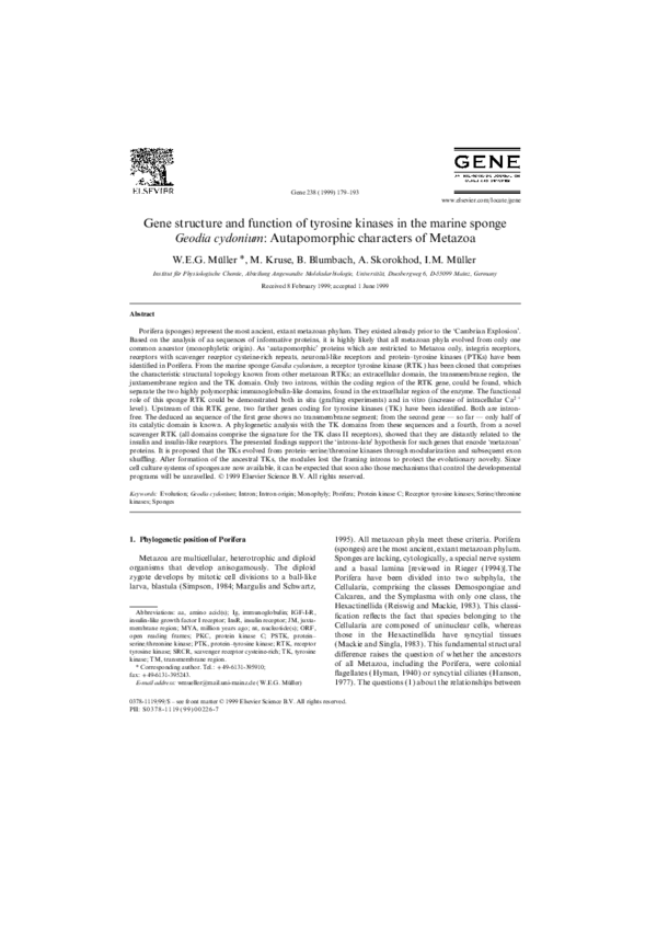 (PDF) Gene structure and function of tyrosine kinases in the marine ...