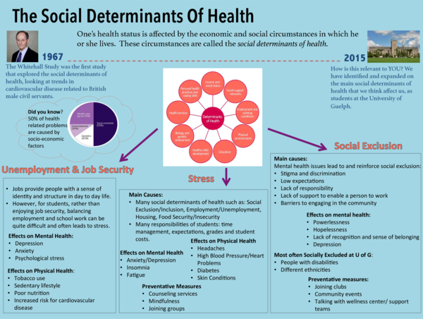 (PDF) Social Determinants of Health