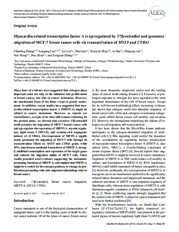 (PDF) Myocardin-related transcription factor A is up-regulated by 17β ...