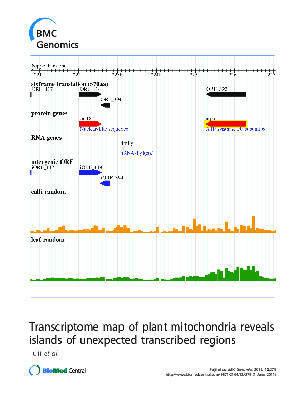 (PDF) Transcriptome map of plant mitochondria reveals islands of ...