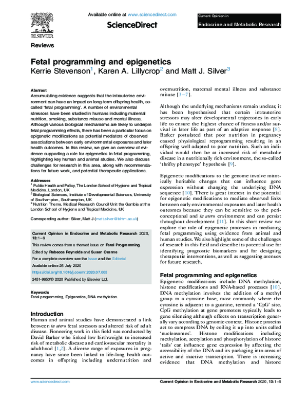 (PDF) Fetal programming and epigenetics