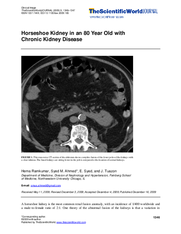 (PDF) Horseshoe Kidney in an 80 Year Old with Chronic Kidney Disease