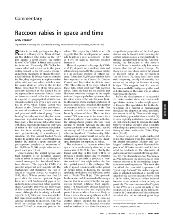 (PDF) Raccoon rabies in space and time | Andy Dobson - Academia.edu