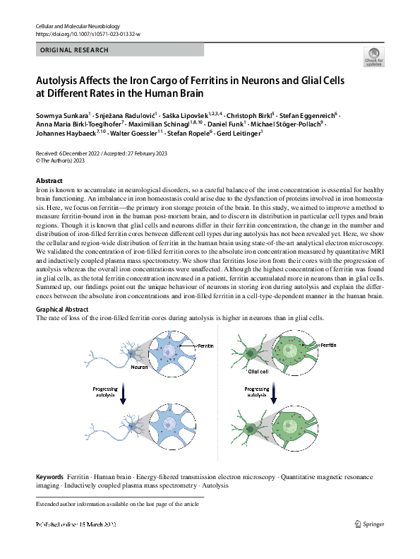 (PDF) Autolysis affects the iron cargo of ferritins in neurons and ...