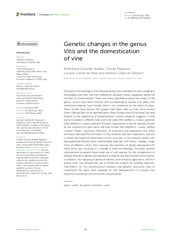 (PDF) Genetic changes in the genus Vitis and the domestication of vine
