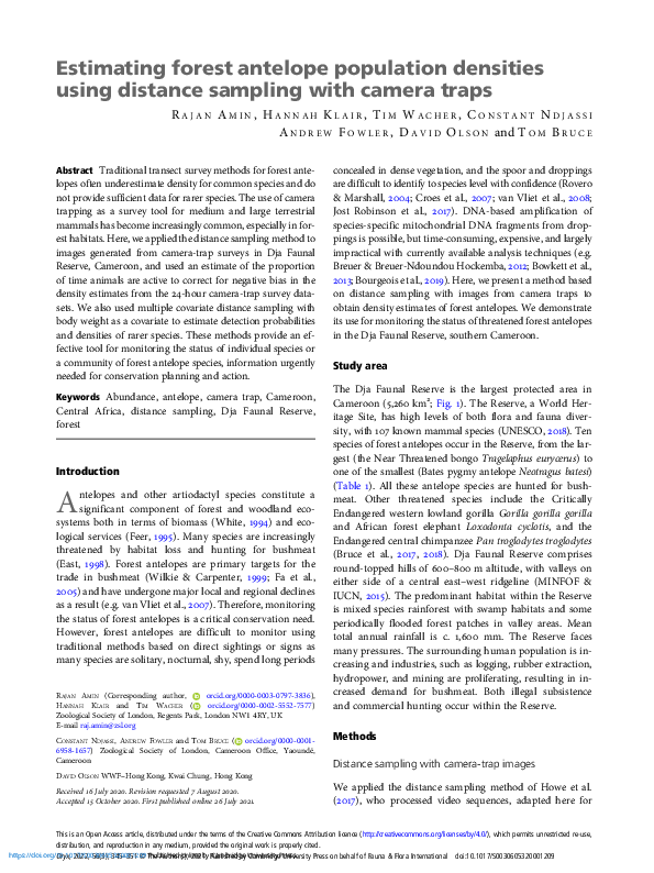 (PDF) Estimating forest antelope population densities using distance ...