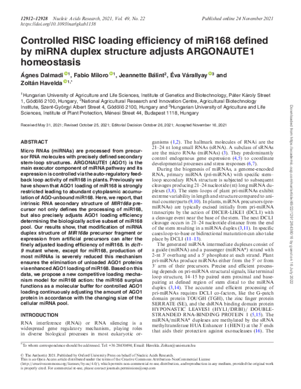 (PDF) Controlled RISC loading efficiency of miR168 defined by miRNA ...