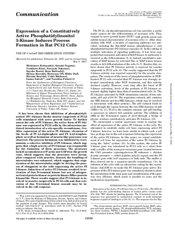 (PDF) Expression of a Constitutively Active Phosphatidylinositol 3 ...