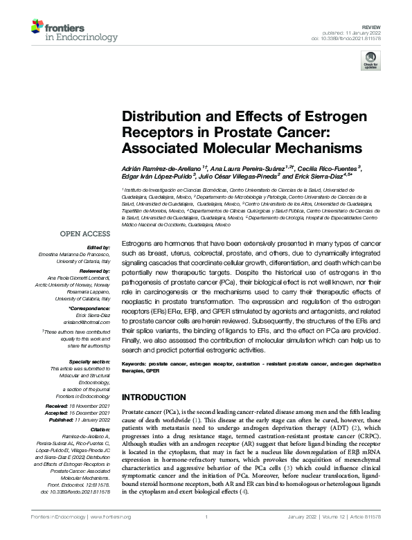 (PDF) Distribution and Effects of Estrogen Receptors in Prostate Cancer ...
