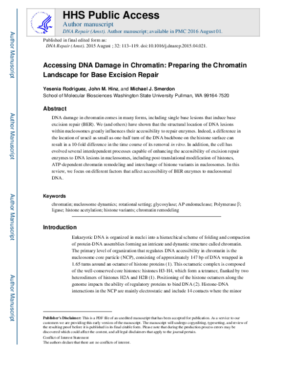 (PDF) Accessing DNA damage in chromatin: Preparing the chromatin ...