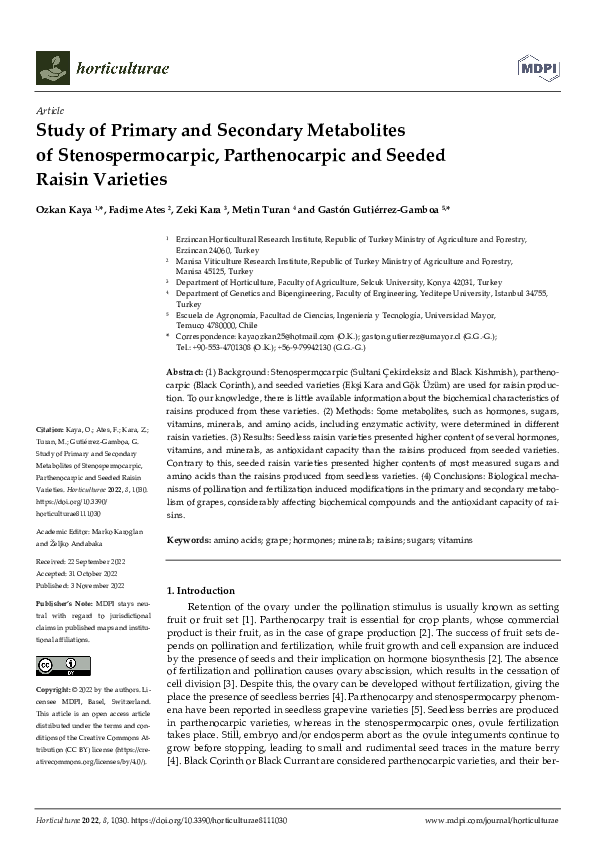 (PDF) Study of Primary and Secondary Metabolites of Stenospermocarpic ...