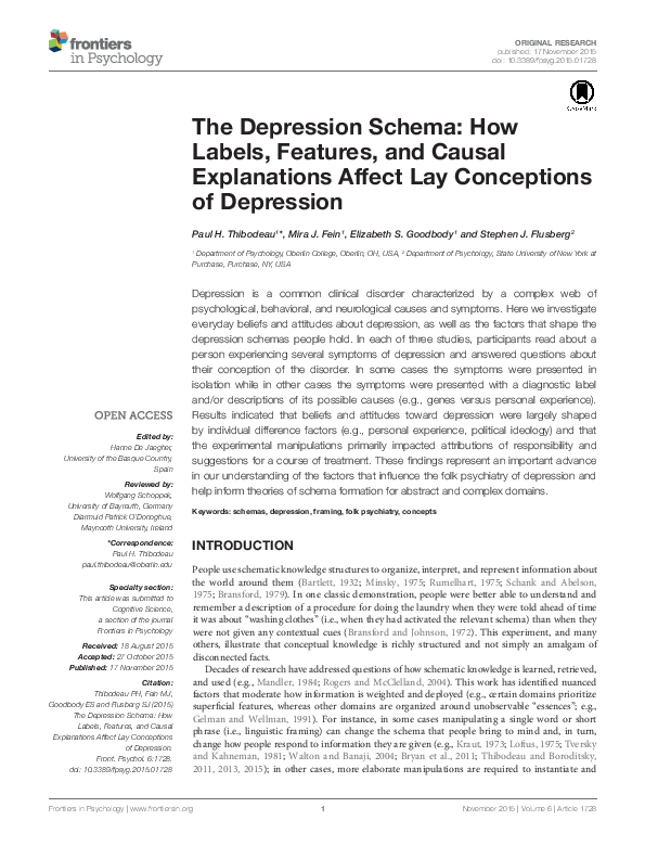 (PDF) The Depression Schema: How Labels, Features, and Causal ...