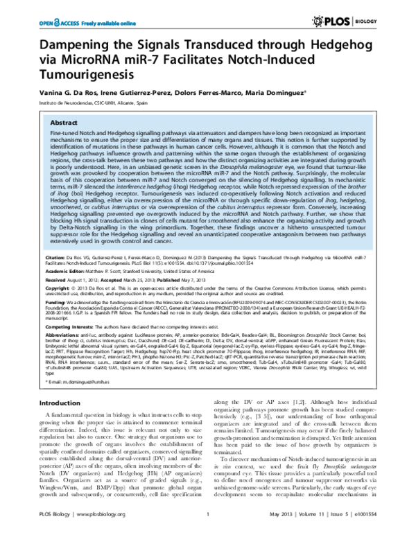 (PDF) Dampening the signals transduced through hedgehog via microRNA ...