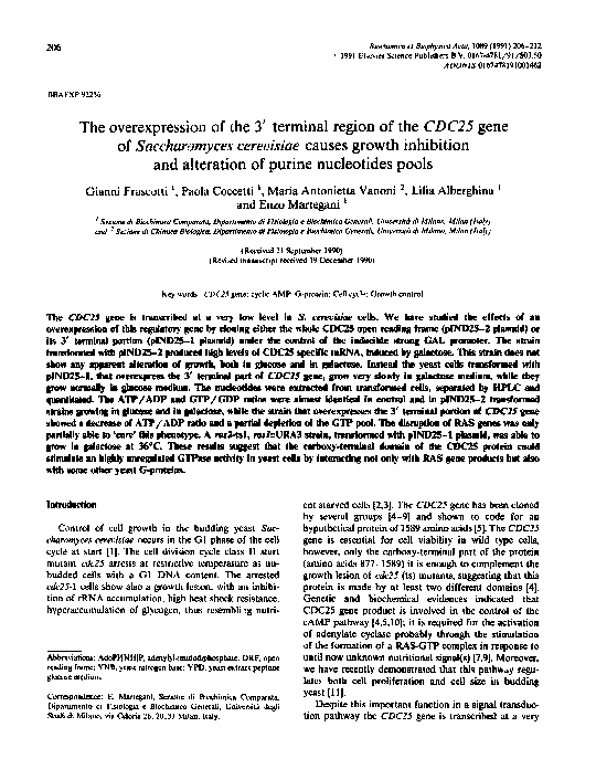 (PDF) The overexpression of the 3′ terminal region of the CDC25 gene of ...