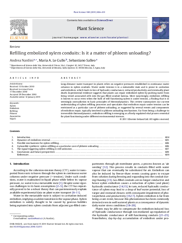 (PDF) Refilling embolized xylem conduits: Is it a matter of phloem ...
