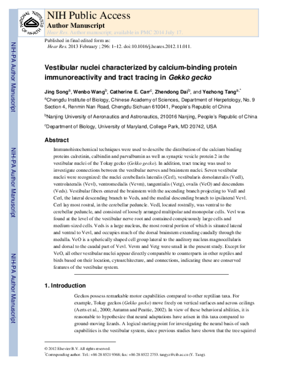 (PDF) Vestibular nuclei characterized by calcium-binding protein ...