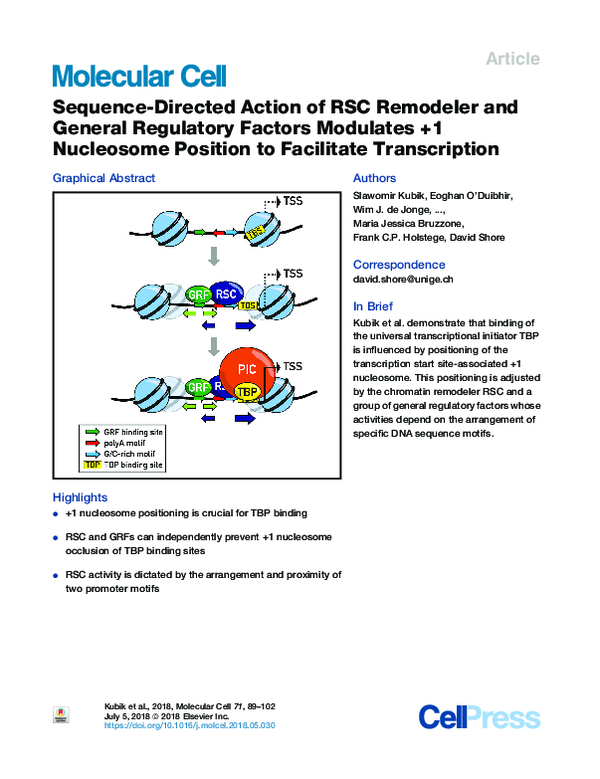 (PDF) Sequence-Directed Action of RSC Remodeler and General Regulatory ...