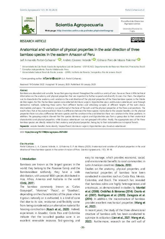 (PDF) The Anatomical and variation of physical properties in the axial ...