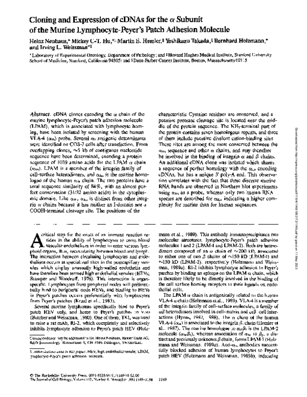 (PDF) Cloning and expression of cDNAs for the alpha subunit of the ...
