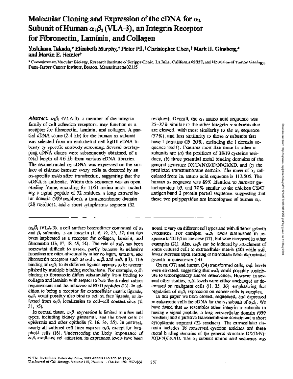 (PDF) Molecular cloning and expression of the cDNA for alpha 3 subunit ...