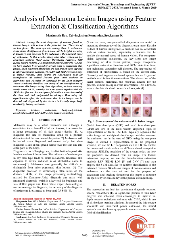 (PDF) Analysis of Melanoma Lesion Images using Feature Extraction ...