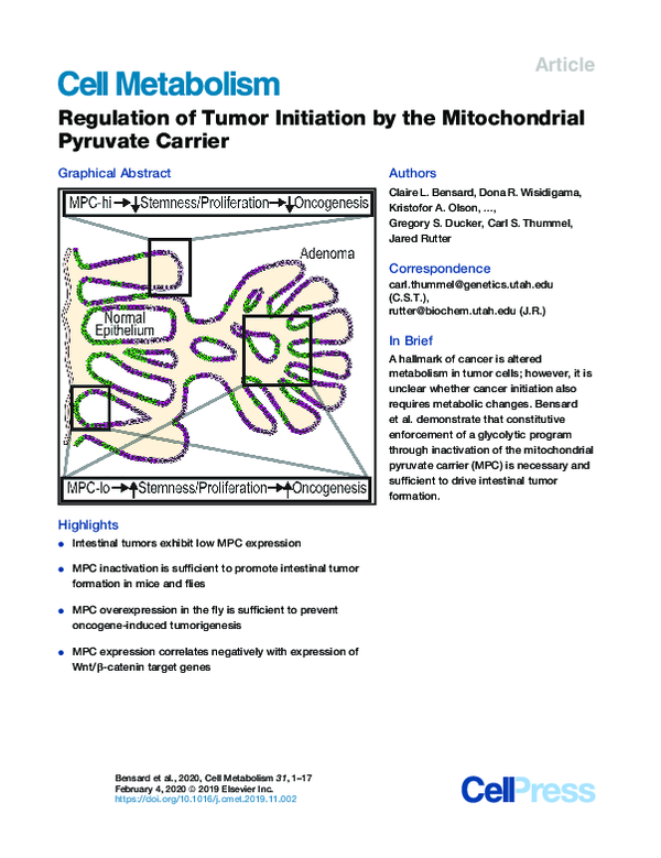 (PDF) Regulation of Tumor Initiation by the Mitochondrial Pyruvate Carrier