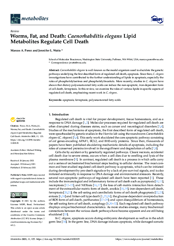 (PDF) Worms, Fat, and Death: Caenorhabditis elegans Lipid Metabolites ...