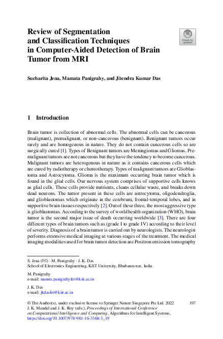 (PDF) Review of Segmentation and Classification Techniques in Computer ...