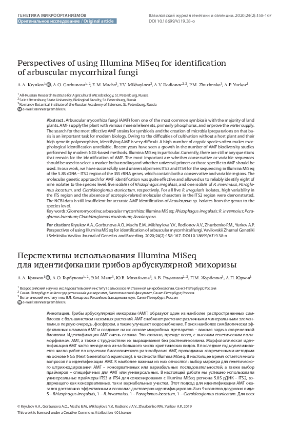 (PDF) Perspectives of using Illumina MiSeq for identification of ...