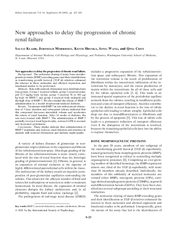 (PDF) New approaches to delay the progression of chronic renal failure