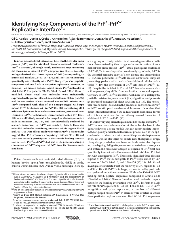(PDF) Identifying Key Components of the PrPC-PrPSc Replicative Interface