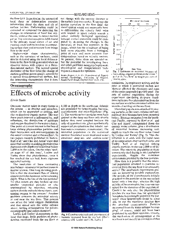 (PDF) Effects of microbe activity | Erwin Suess - Academia.edu