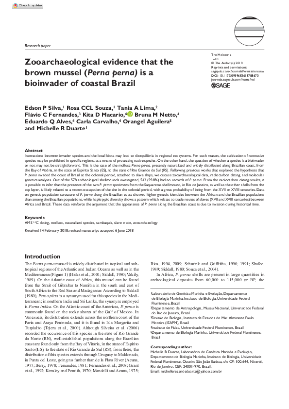 (PDF) Zooarchaeological evidence that the brown mussel (Perna perna) is ...