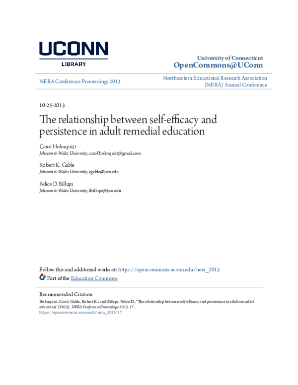 (PDF) The Relationship Between Self-Efficacy and Persistence in Adult ...