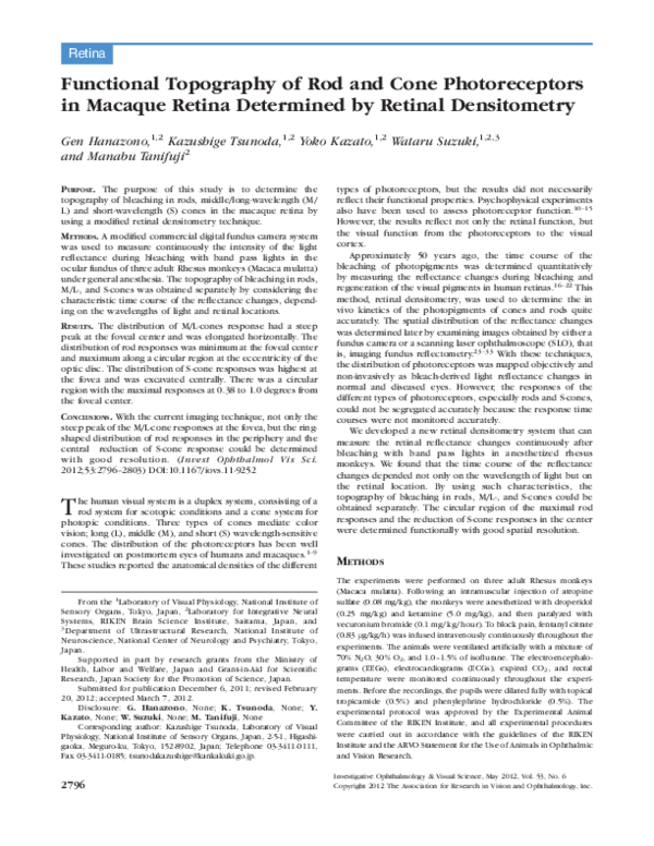 (PDF) Functional Topography of Rod and Cone Photoreceptors in Macaque ...