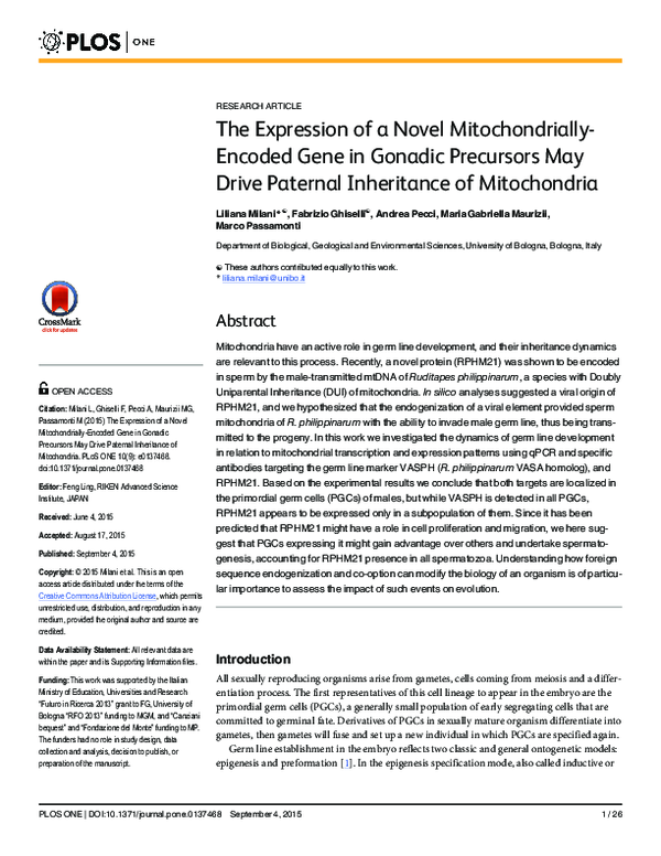 (PDF) The Expression of a Novel Mitochondrially-Encoded Gene in Gonadic ...